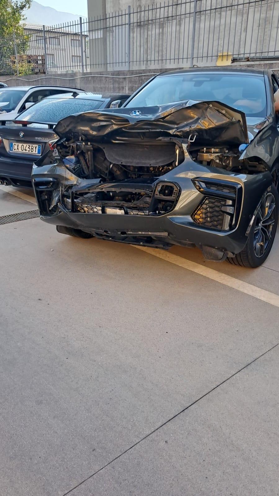 X6 INCIDENTATA