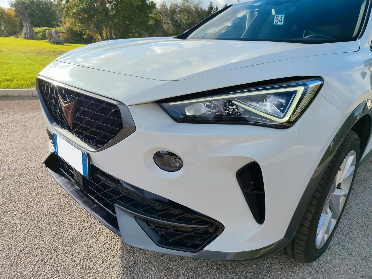 Cupra Formentor 2.0 TDI 4Drive DSG