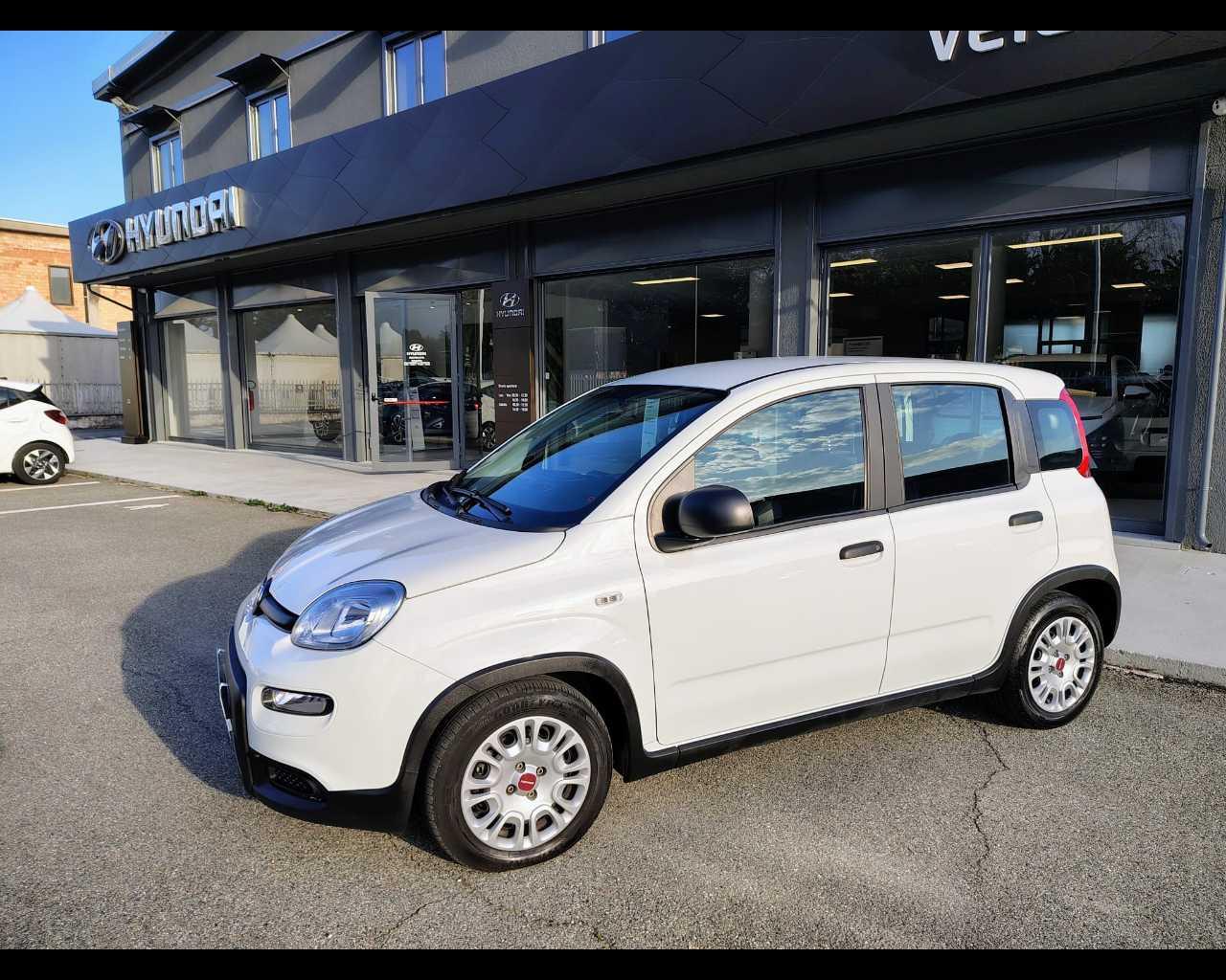 FIAT Panda III 2021 - Panda 1.0 firefly hybrid s&s 70cv