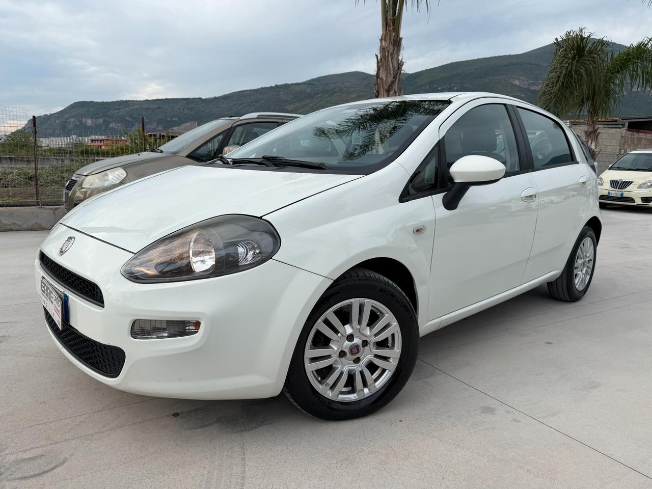 FIAT PUNTO ANNO 2013 1.3 MJT 75 CV