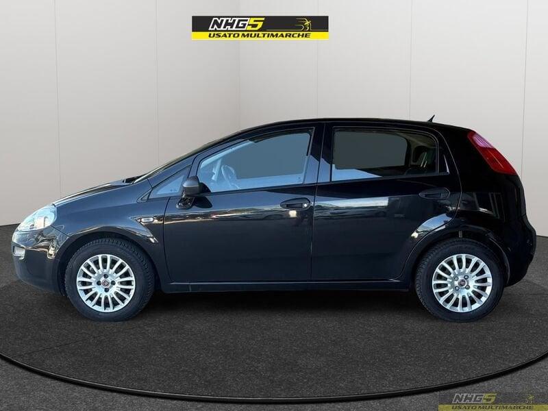 FIAT Punto Punto 1.2 8V 5 porte Lounge