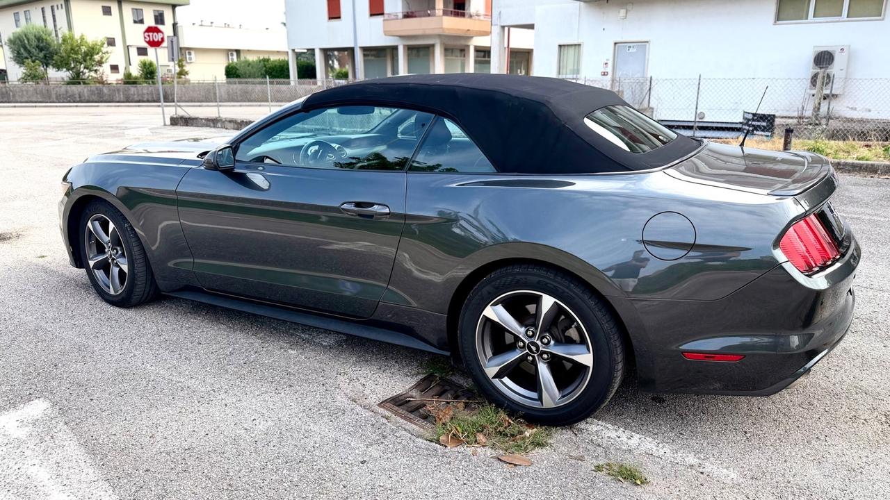 Ford Mustang America
