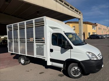 Iveco Daily 35C15 3.0 150cv trasporto animali vivi patente B