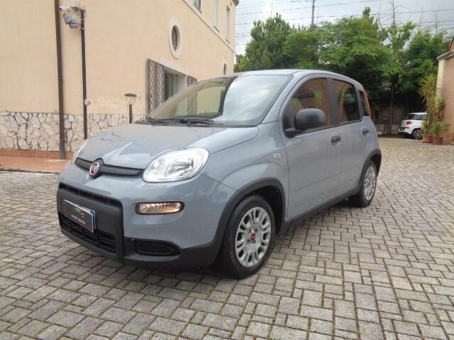 Fiat Panda 1.0 FireFly S&S Hybrid 7500 km possibilità L. 104