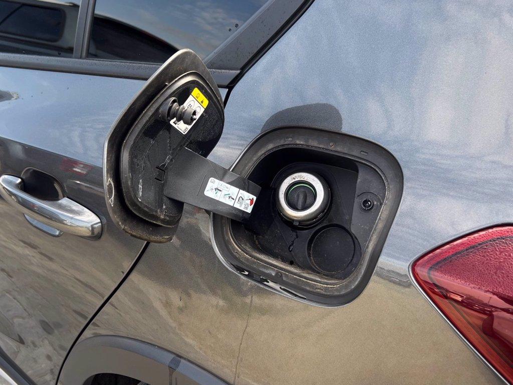 FORD Focus 1.0 EcoBoost Hybrid 125CV 5p. Active Style del 2022