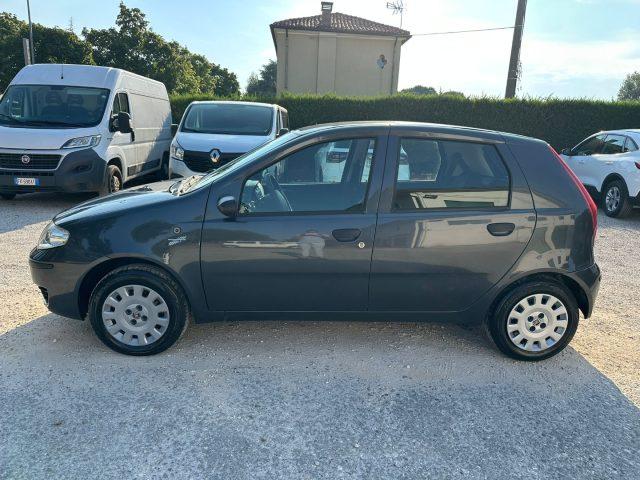 FIAT Punto OK NEO PAT. GPL Classic 1.2 5 porte Active