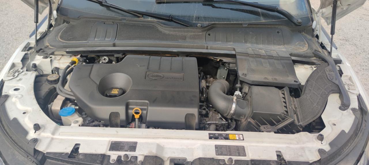 Land Rover Range Evoque 2.0 TD4 150 CV 5p. SE Dynamic TETTO