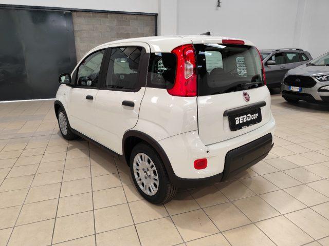 FIAT Panda 1.0 FireFly S&S Hybrid RED