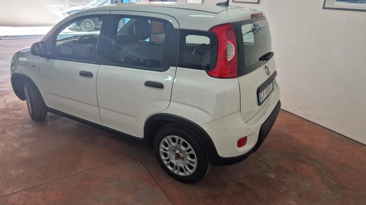 NOLEGGIO Fiat Panda 1.0 FireFly S&S Hybrid NOLEGGIO A 40
