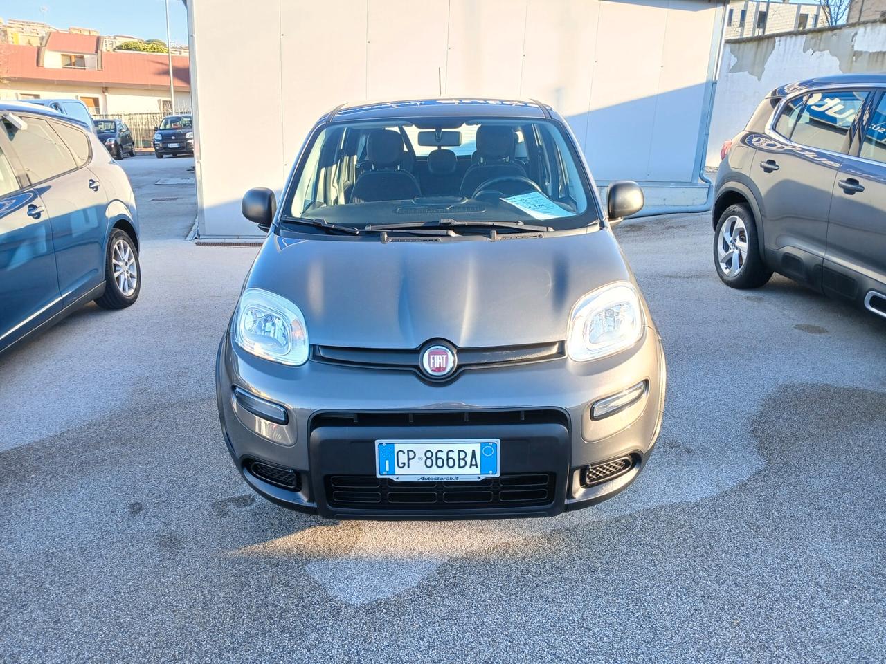 FIAT PANDA HYBRID CITY LIFE 70CV 2023