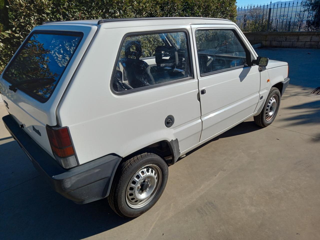 Fiat Panda 900 i.e. cat Young