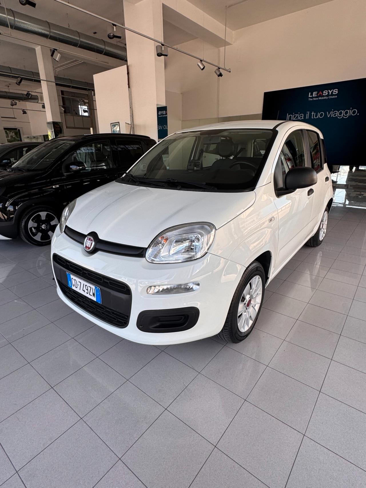 FIAT PANDA 1.2 BZ - EASY