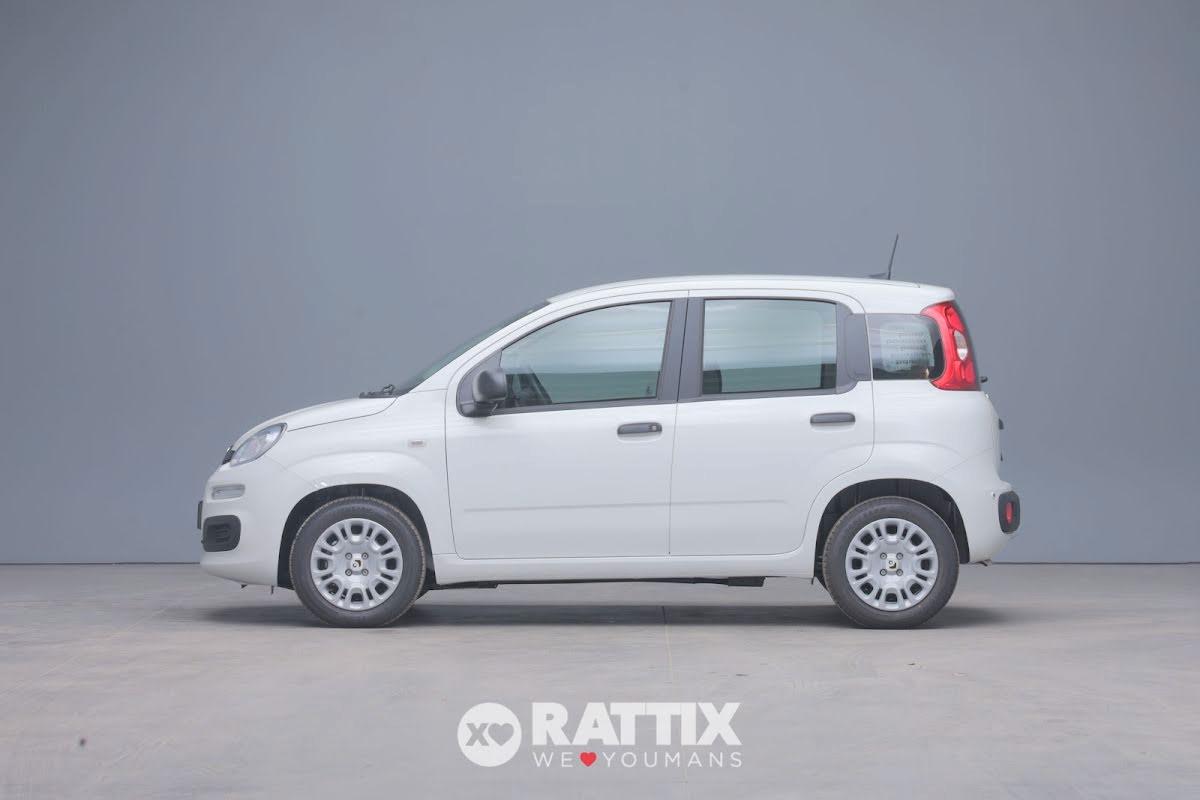 Fiat Panda 1.0 firefly hybrid 70CV Icon