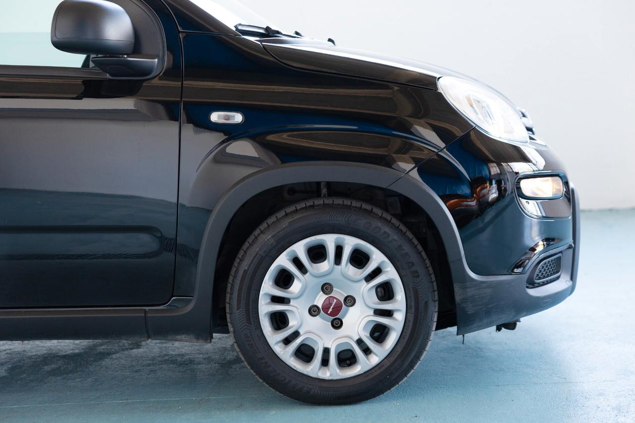 Fiat Panda 1.0 FireFly S&S Hybrid 2023 IVA ESPOSTA