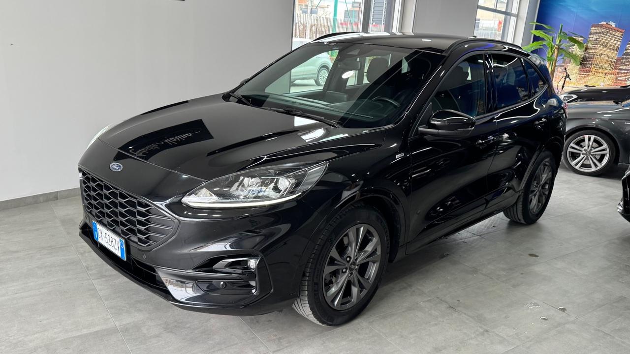 Ford Kuga 1.5 EcoBlue 120 CV 2WD ST-Line-2022