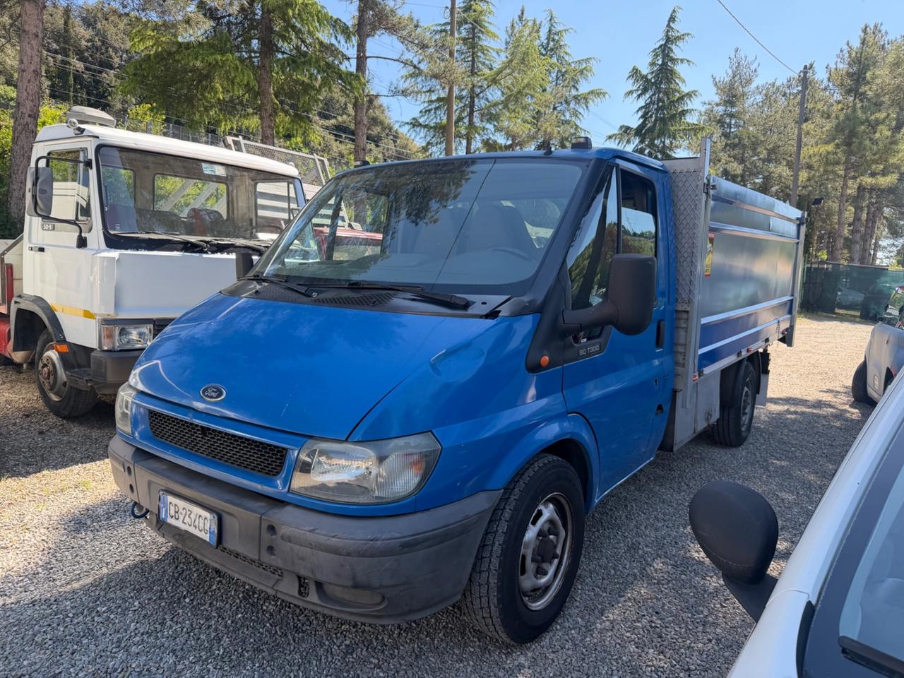 Ford Transit casonato