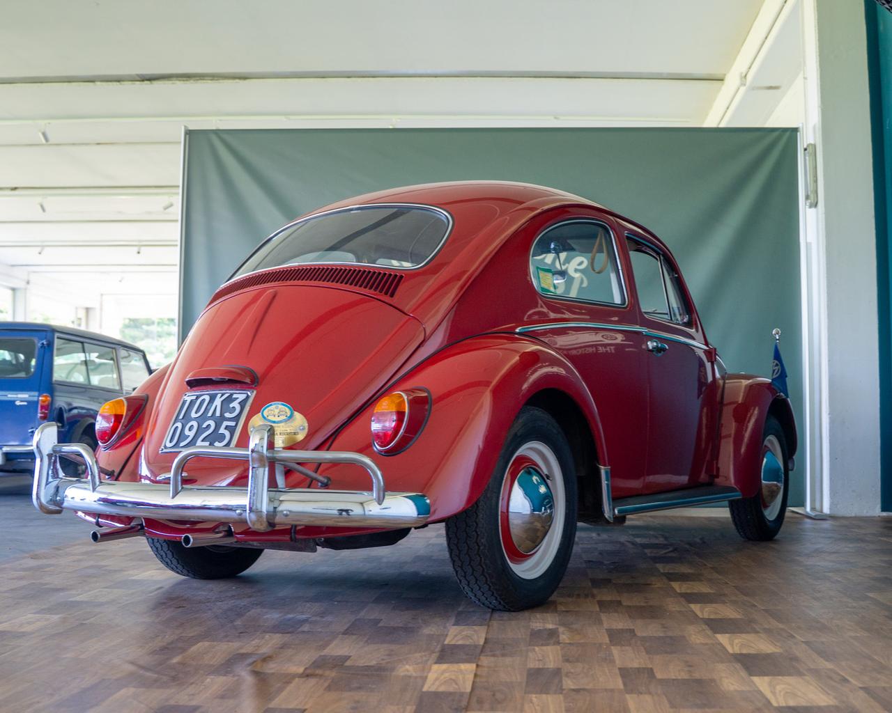 Volkswagen MAGGIOLINO Maggiolino 1963 6 volt