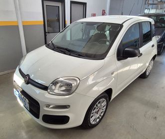 Fiat Panda 1.2 Easy 2019 Unico Proprietario