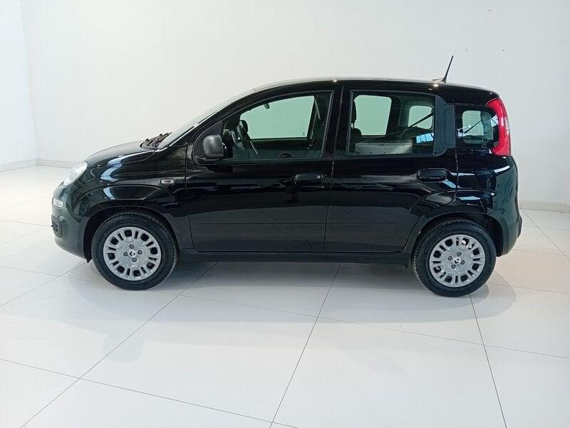 FIAT Panda Panda 1.0 FireFly S&S Hybrid