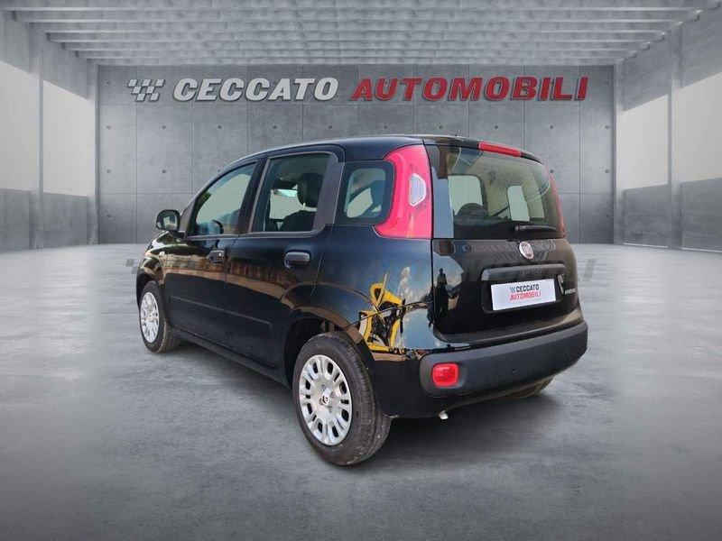 FIAT Panda Panda 1.0 firefly hybrid s&s 70cv 5p.ti