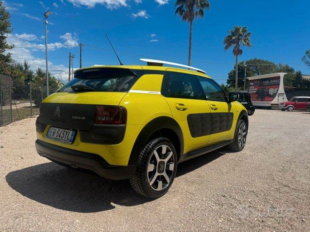 citroen cactus