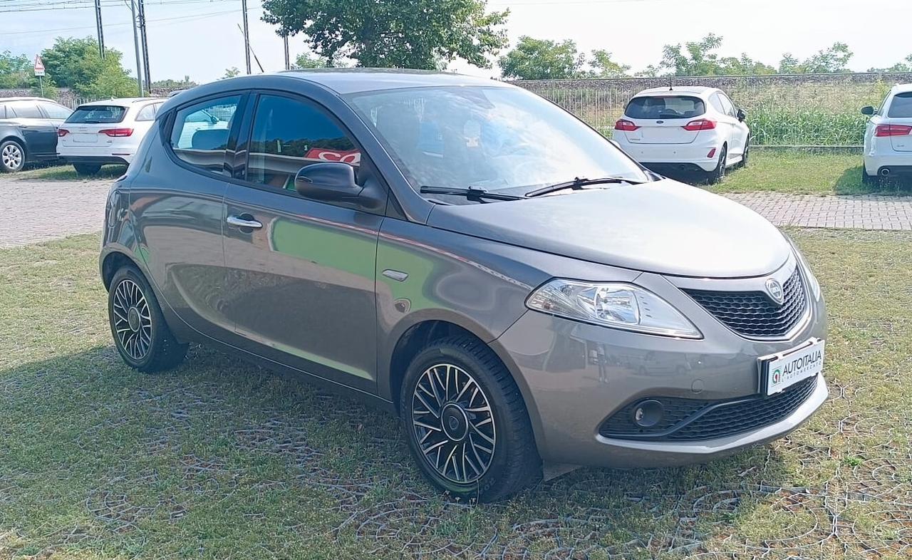 Lancia Ypsilon 1.2 69 CV 5 porte Platinum