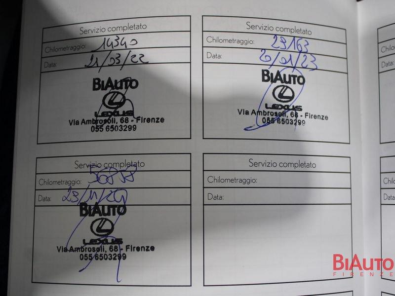 Lexus UX Hybrid Premium