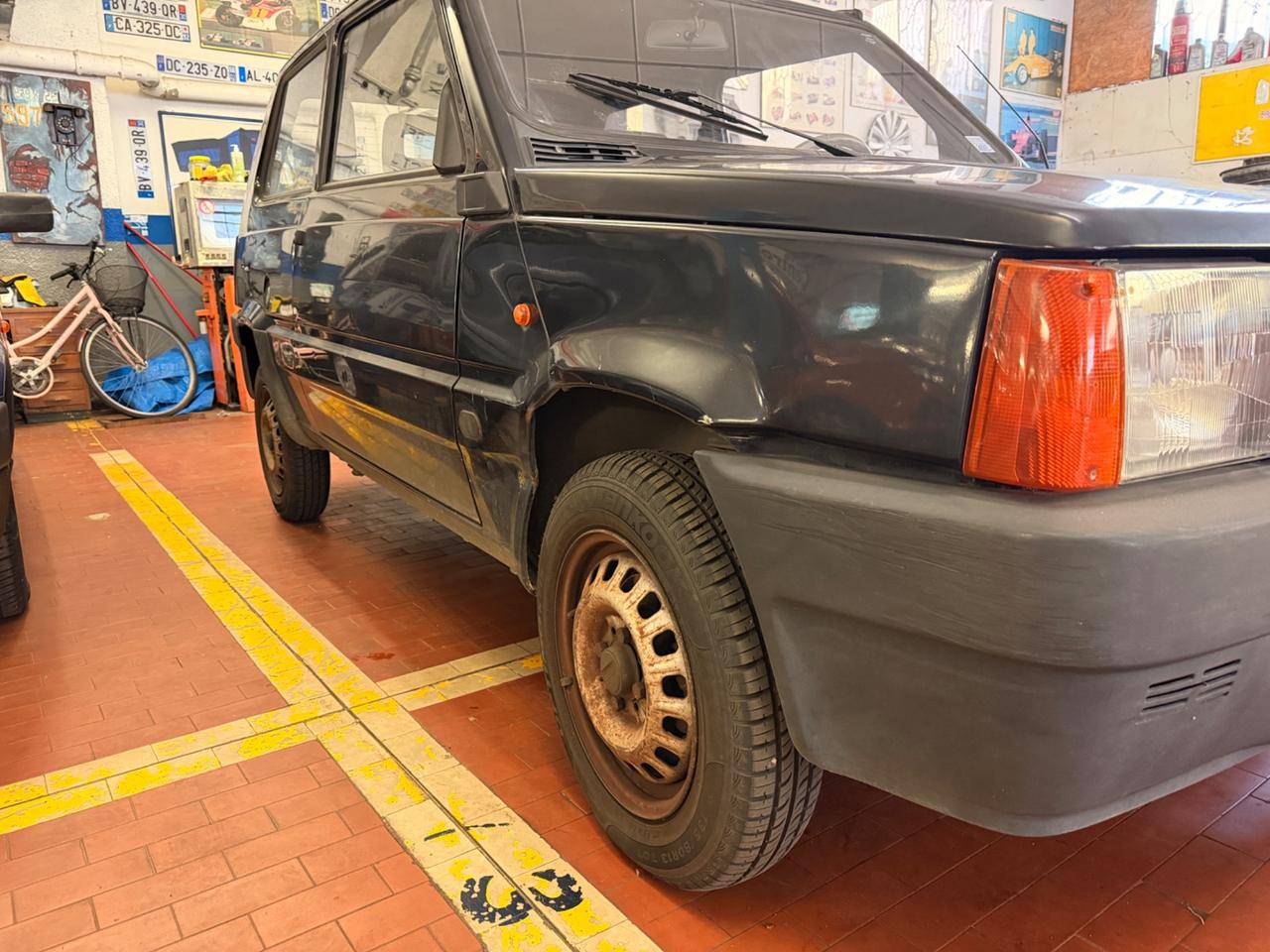 Fiat Panda 900 i.e. cat Young