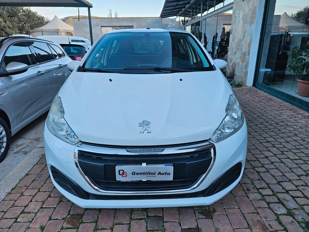 Peugeot 208 BlueHDi 100 S&S 5 porte Van Active