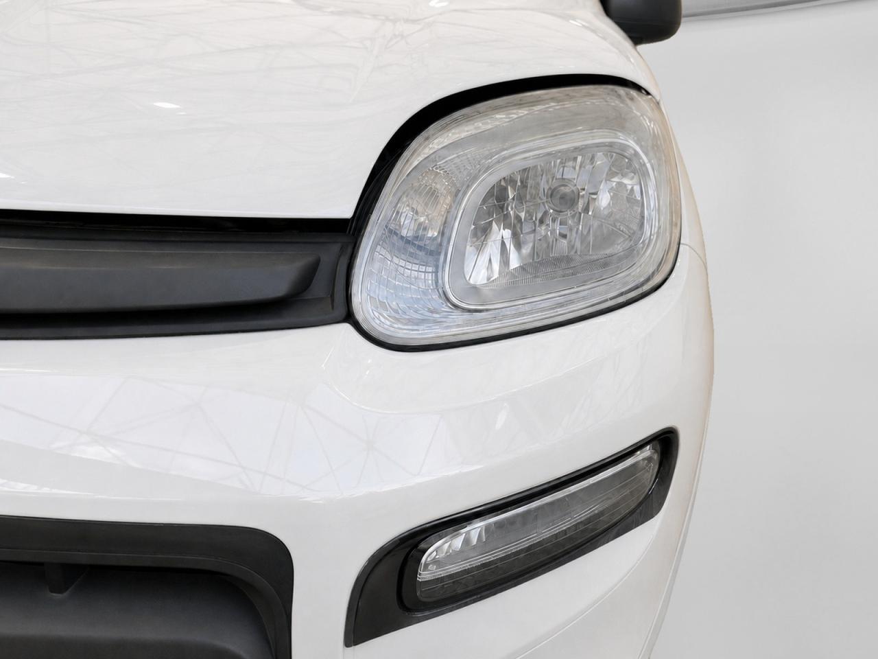 FIAT Panda III 2021 - Panda 1.0 firefly hybrid City Life s&s 70cv