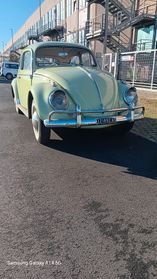 Volkswagen Maggiolino "Nasino"