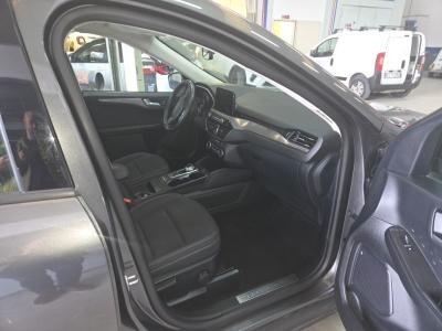 Ford Kuga 1.5 EcoBlue 120 CV aut. 2WD Titanium Business