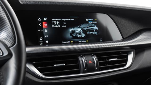 ALFA ROMEO Stelvio 2.2 Turbodiesel 210 CV AT8 Q4 Veloce