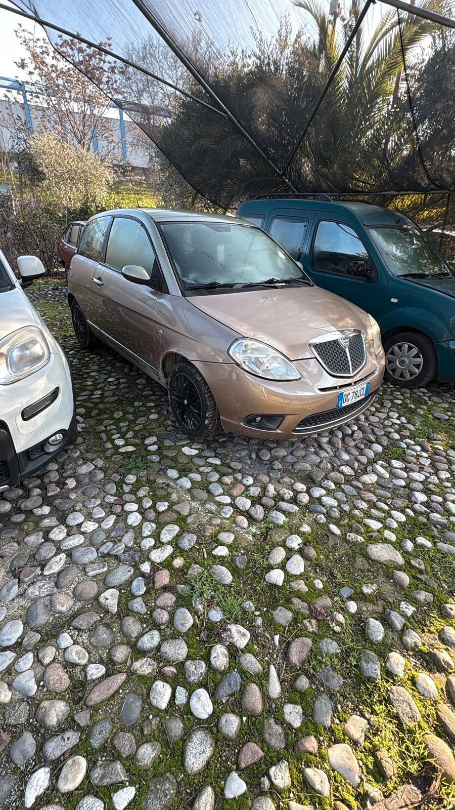 Lancia Ypsilon 1.3 MJT 90 CV Platino NEOPATENTATI
