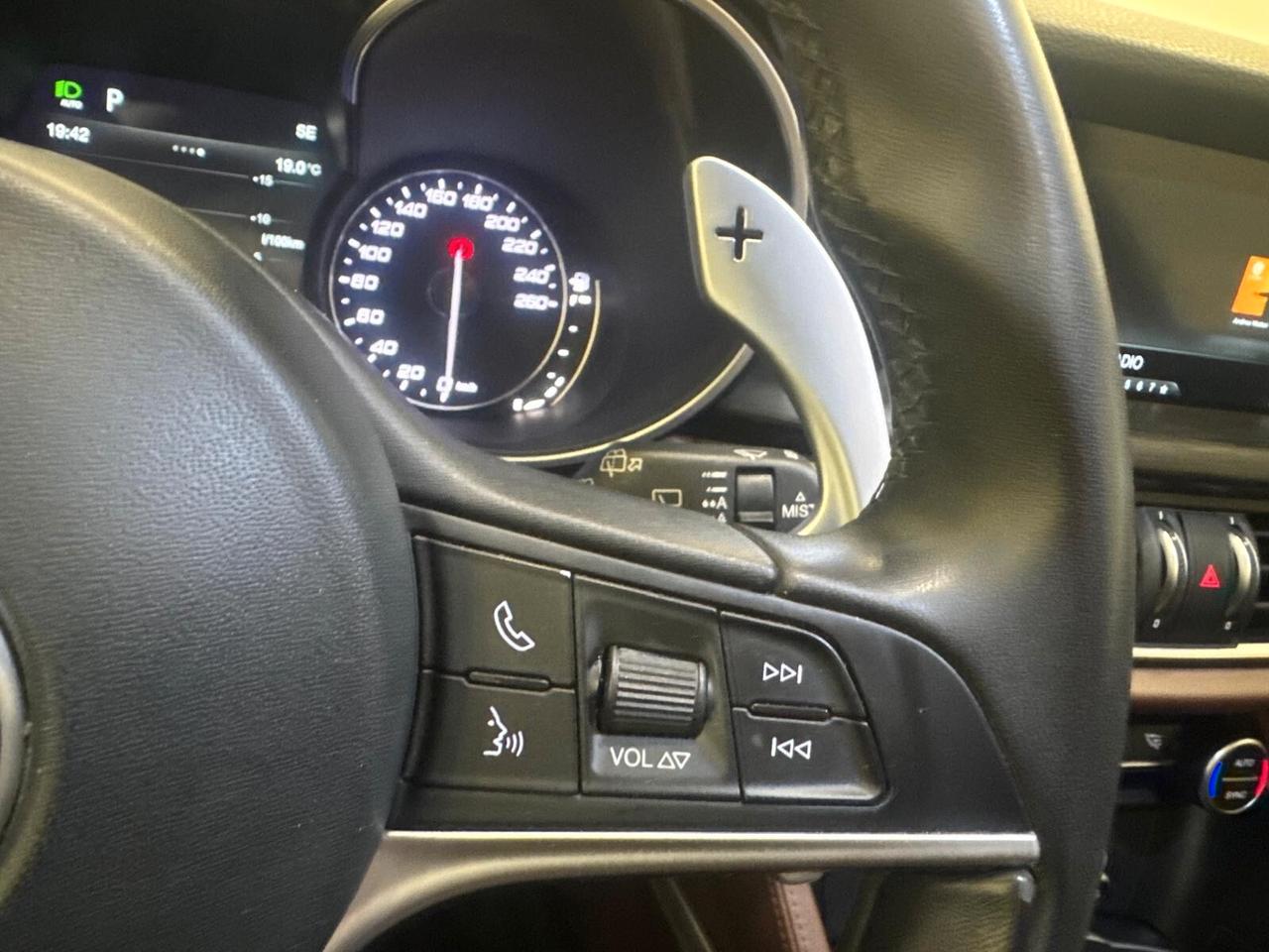 Alfa Romeo Stelvio 2.2 Q4 210 CV AT8 tetto panoramico