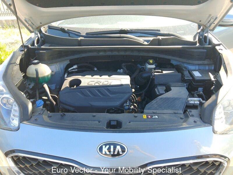 KIA Sportage 1.6 CRDI 136 CV DCT7 2WD Business Class