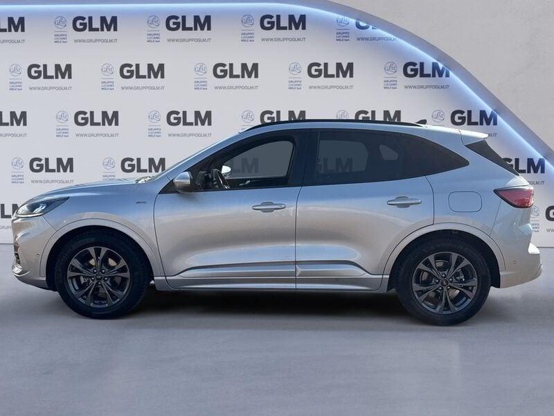 Ford Kuga Kuga 1.5 EcoBlue 120 CV 2WD ST-Line