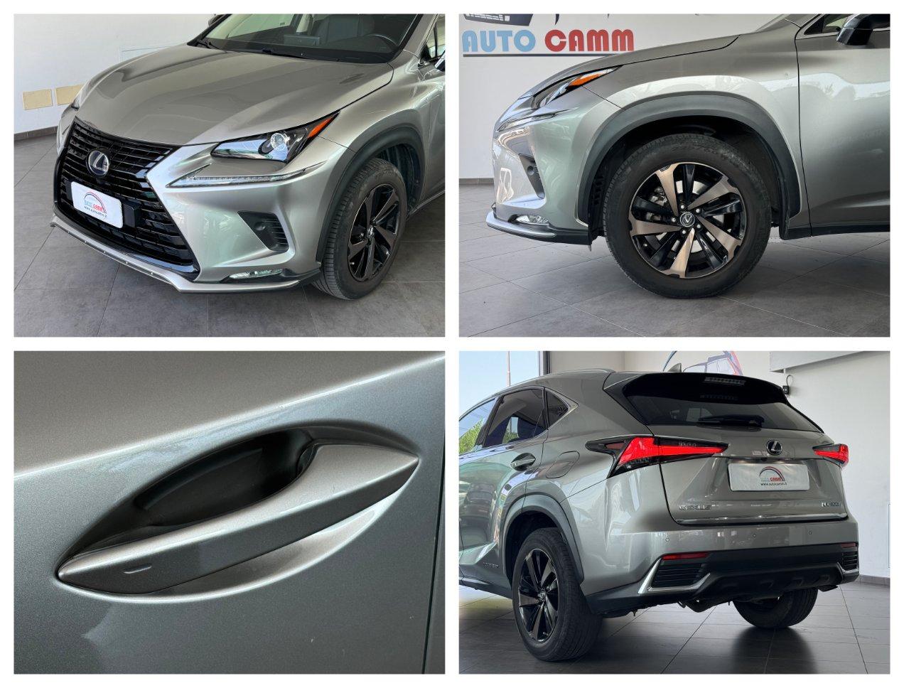 Lexus NX 300h 2.5 Premium cvt 4wd 4x4 awd