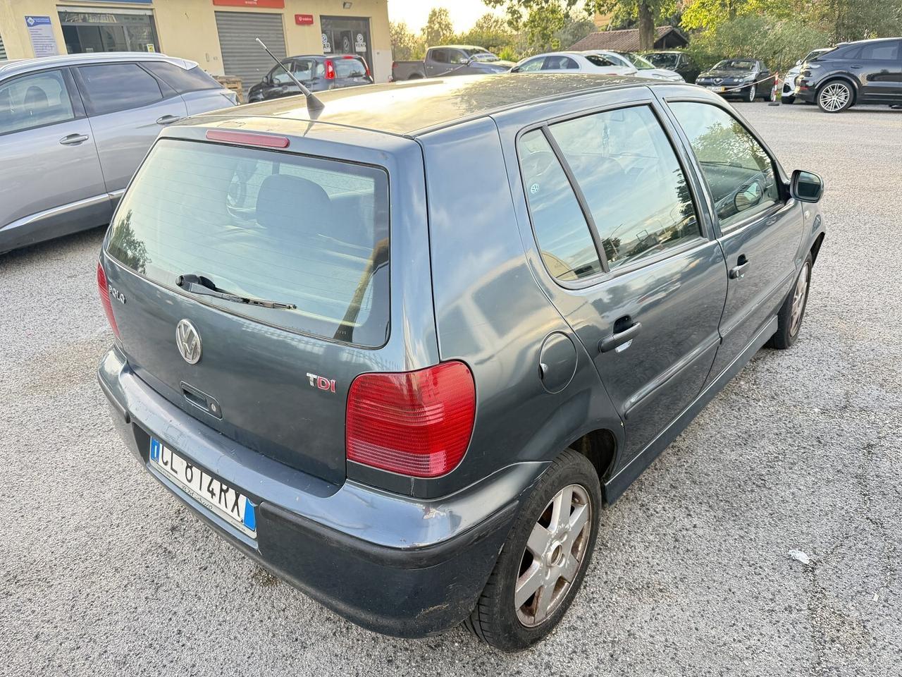 vw polo 1.1 tdi 5 PORTE adatta neopatentati