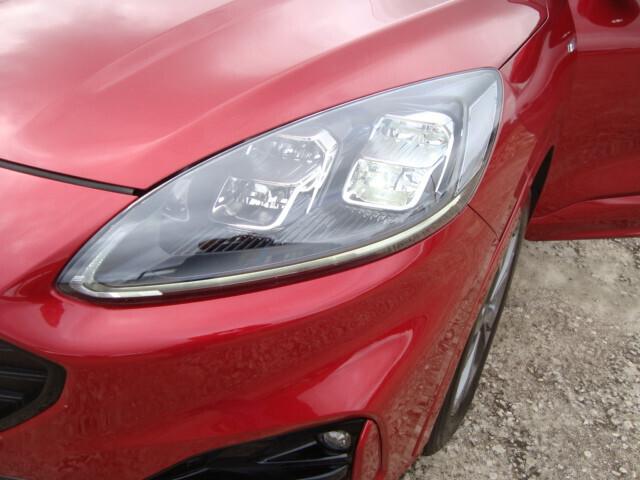 Ford Kuga 1.5 EcoBlue 120 CV 2WD ST-Line 2021