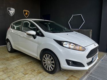 Ford Fiesta 1.4 5 porte Bz.- GPL Black & White Edition