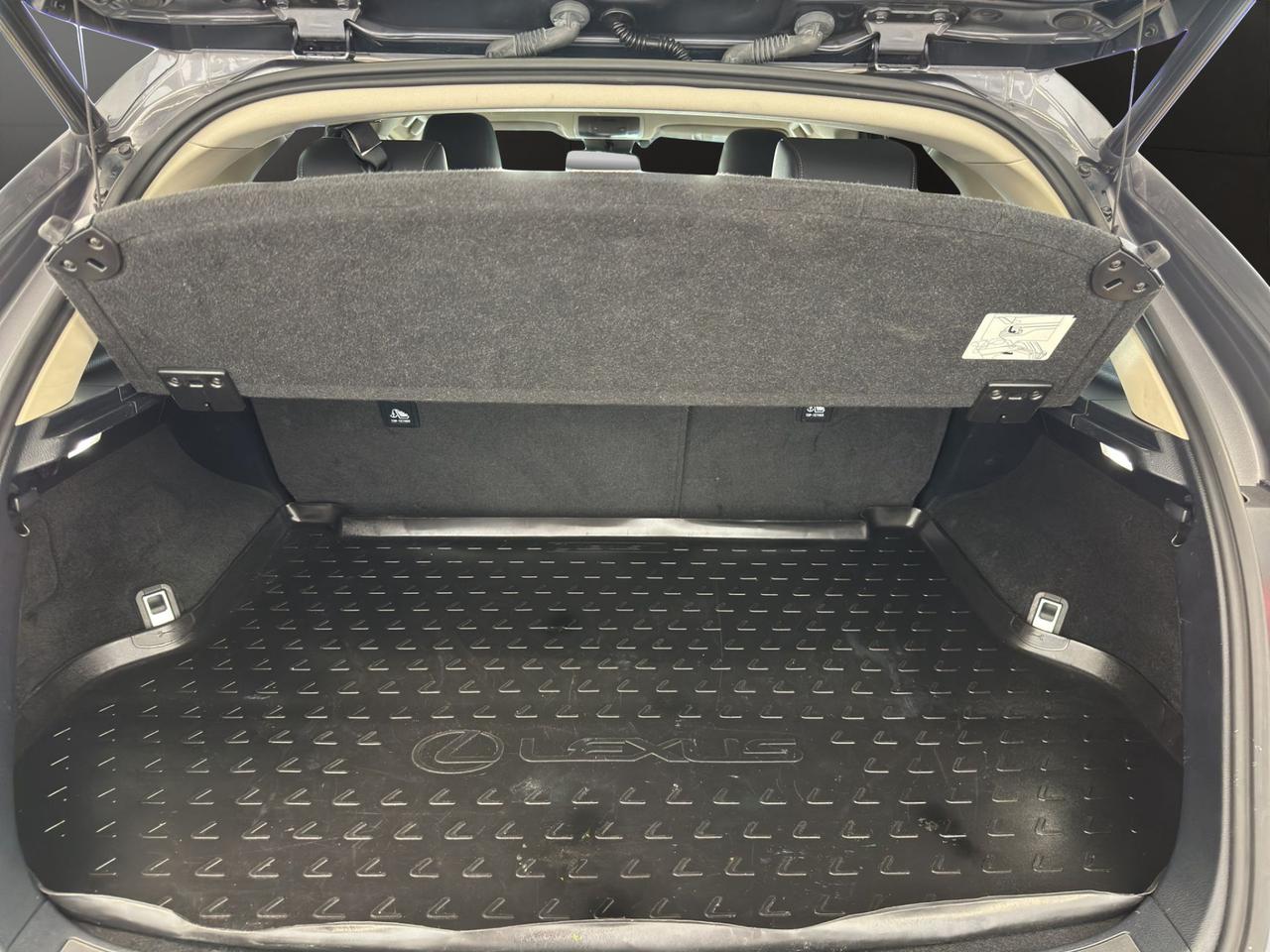 Lexus NX 300h 2.5 Premium 4wd cvt