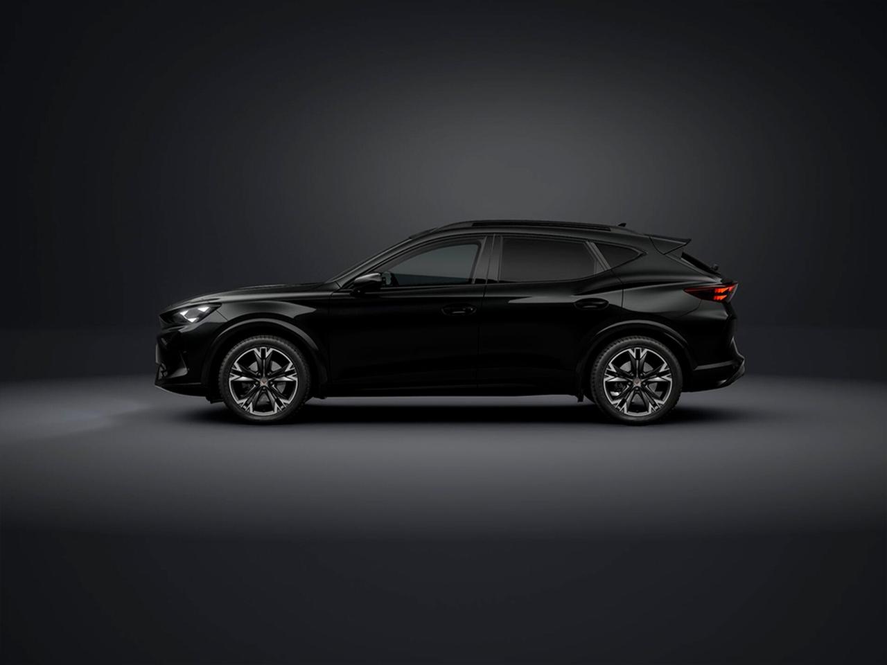 Cupra Formentor 2.0 tsi business 4drive 204cv dsg