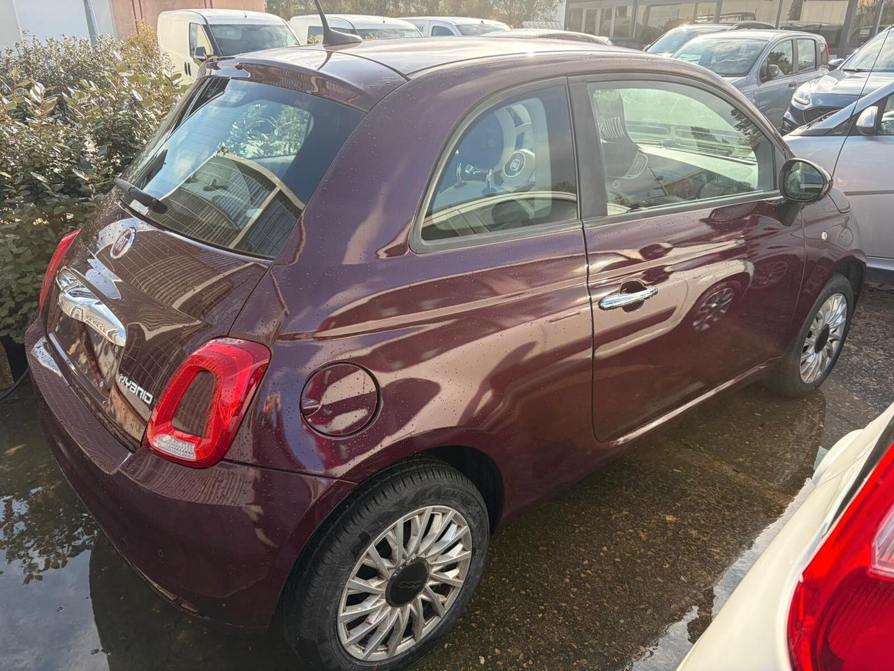 FIAT 500 LOUNGE - TAGLIANDATA