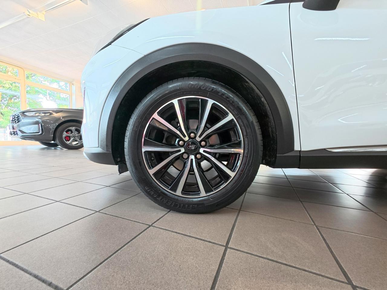 Ford Puma 1.0 EcoBoost Hybrid 125 CV S&S Titanium