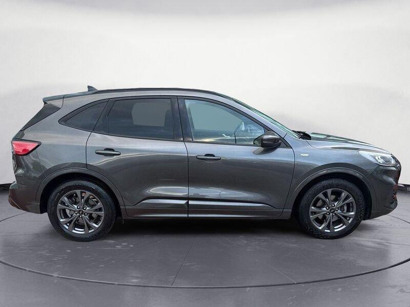 Ford Kuga 1.5 EcoBlue 120 CV aut. 2WD ST-Line