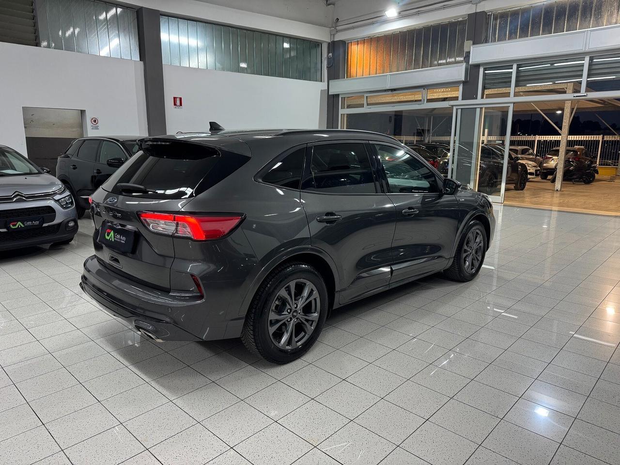 Kuga 1.5EcoBlue 120CV ST-Line TELECAMERA BELLA