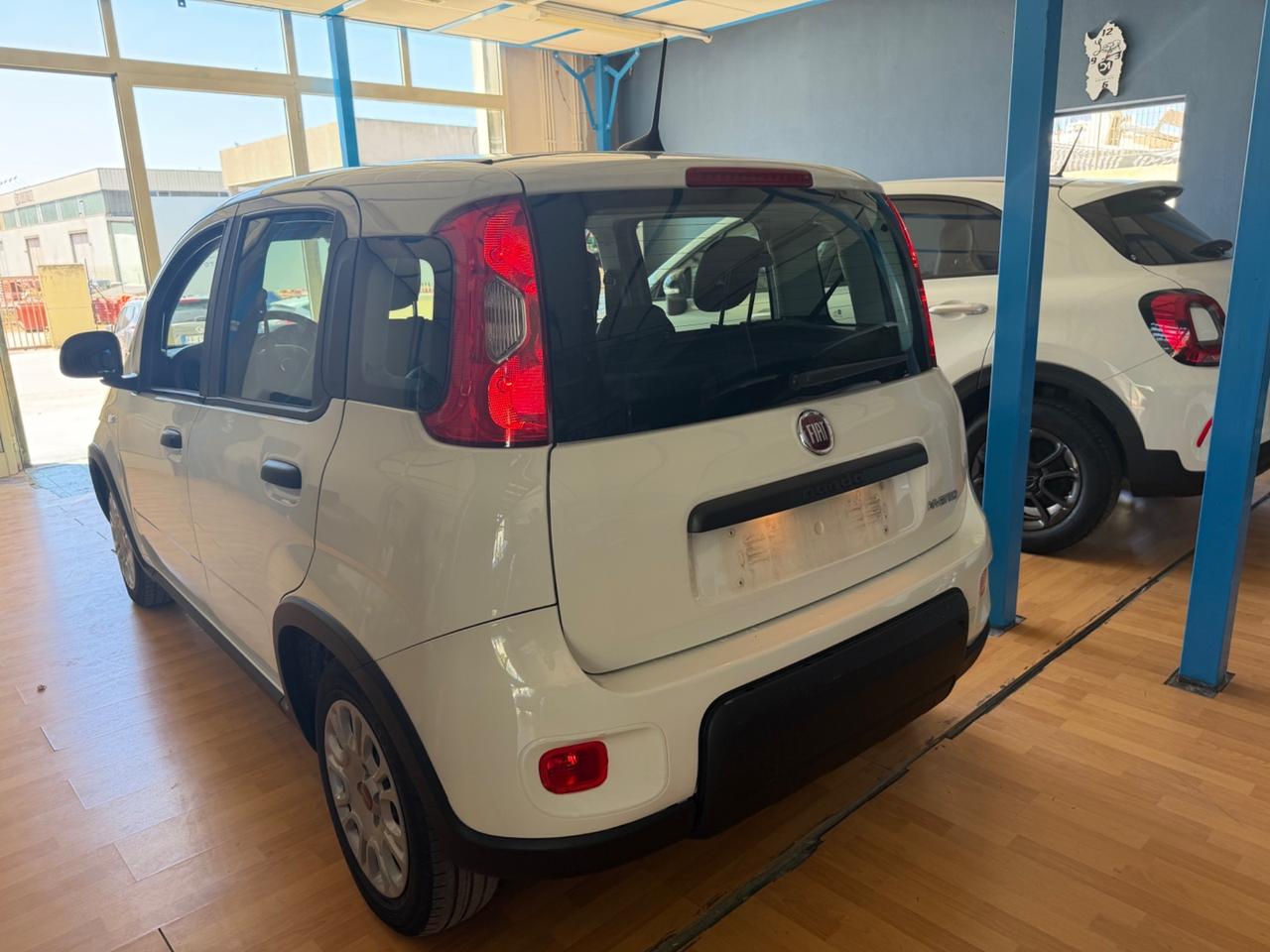 Fiat Panda 1.0 benz/ibrida 2023 Nuova