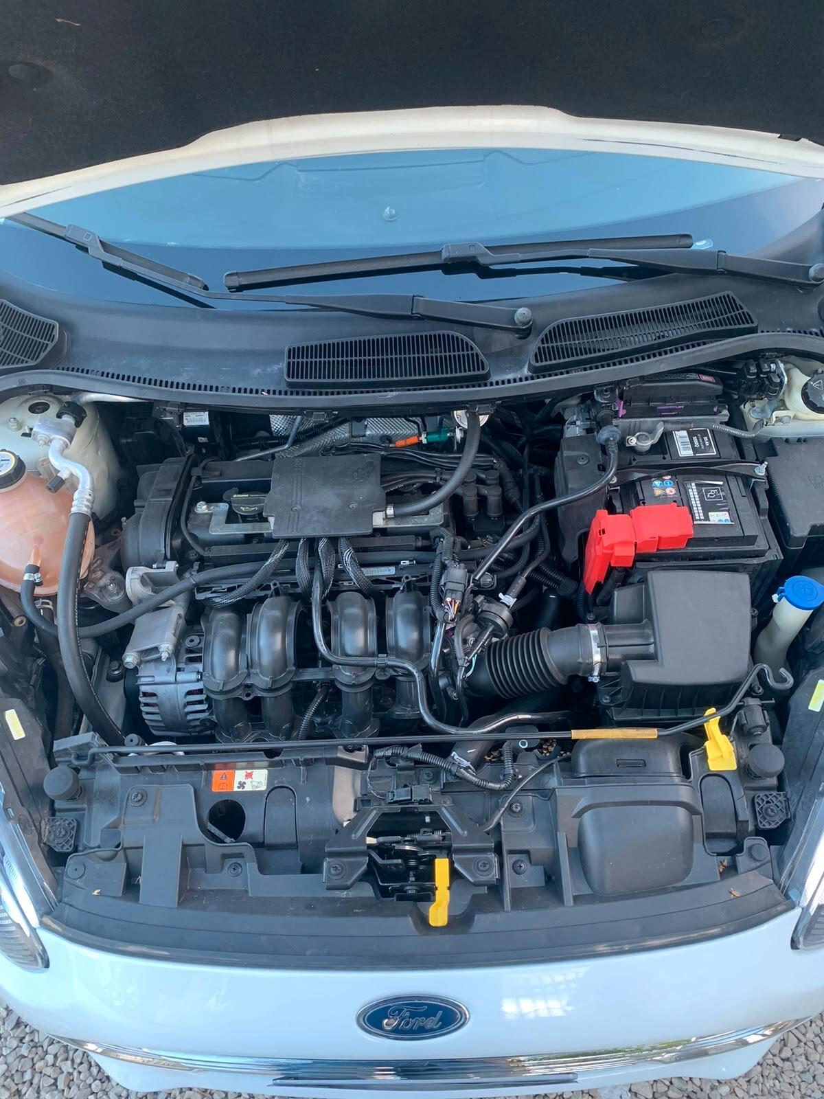 Ford Fiesta 1.4 5 porte Bz.- GPL Business