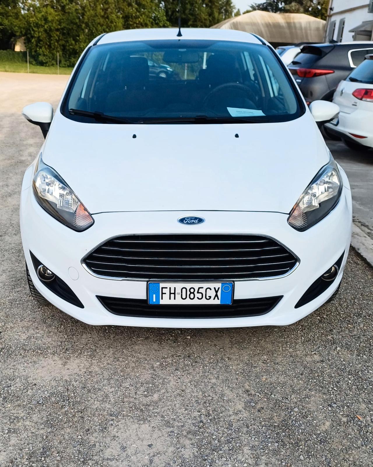 Ford Fiesta 1.4 5 porte Bz.- GPL Black & White Edition